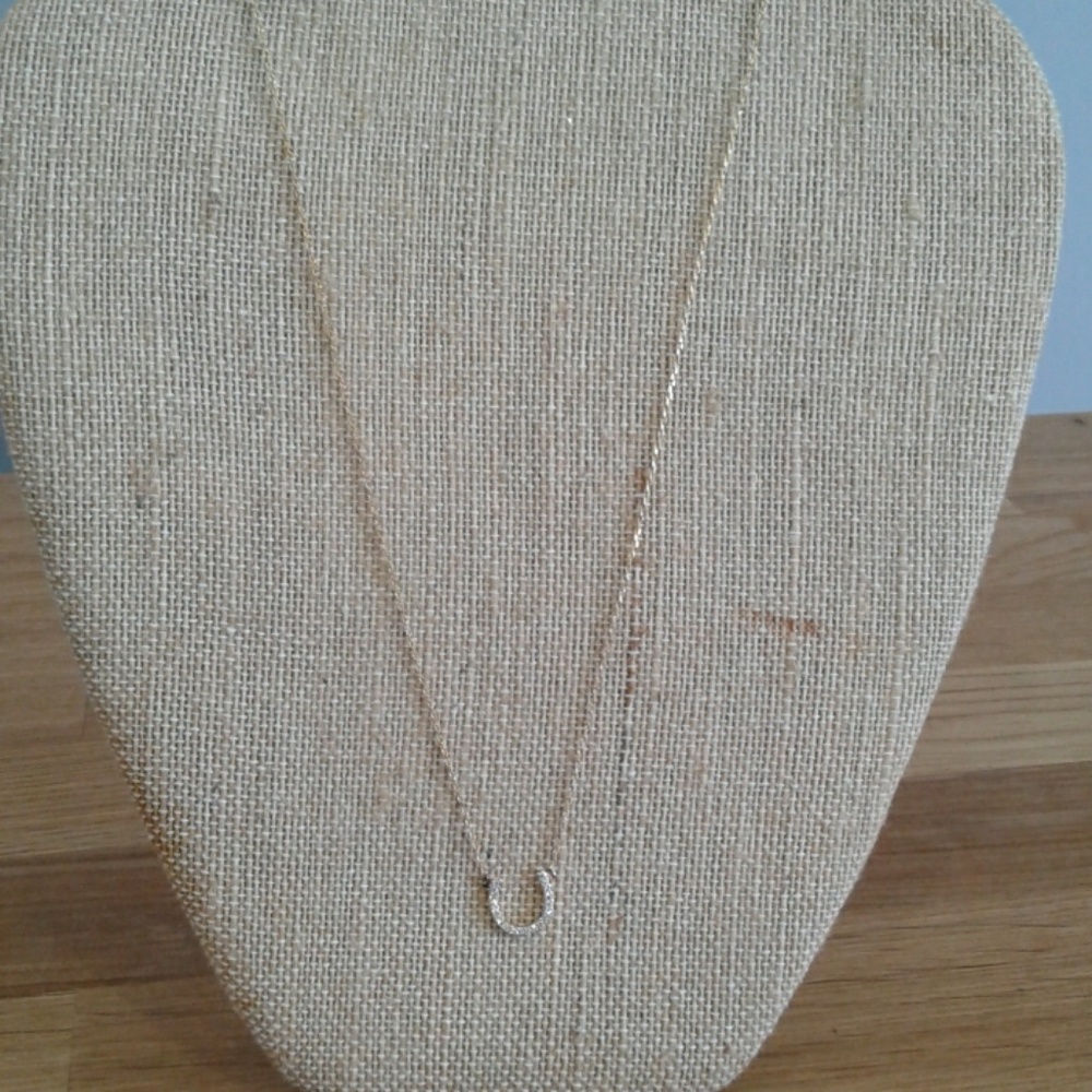 Horseshoe charm necklace